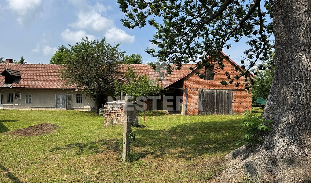 Prodej domu 90 m² s pozemkem 4 430 m², Chotěšice – náhled fotky 11