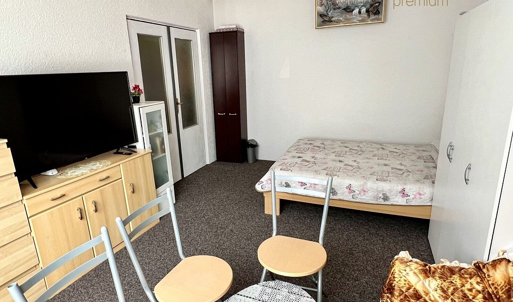 Pronájem bytu 1+1 37 m², Tachov – náhled fotky 3