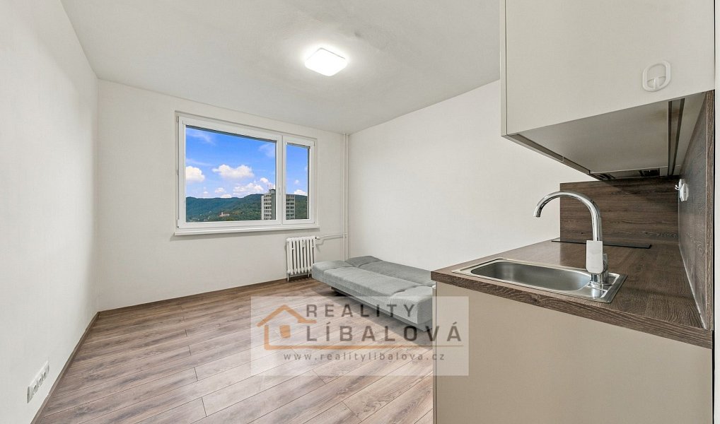 Pronájem bytu 1+kk 20 m², Ústí nad Labem – náhled fotky 2