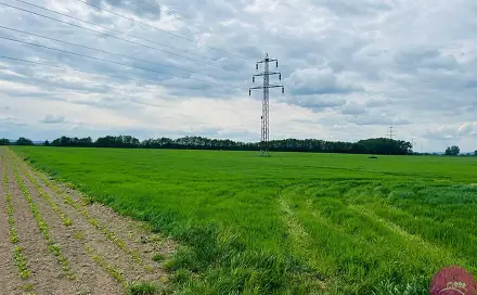 Prodej komerčního pozemku 29 280 m², Liboš, okres Olomouc