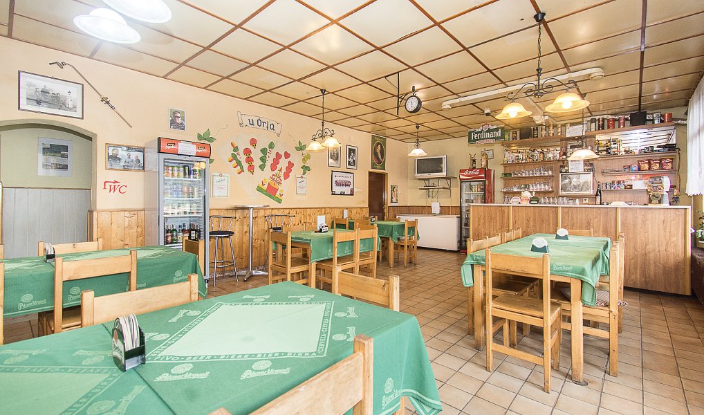 Prodej nájemního domu, činžáku 550 m², Heřmaničky – náhled fotky 19