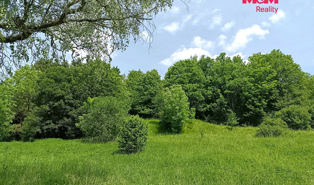 Prodej stavebního pozemku 3 276 m², Božanov – náhled fotky 5