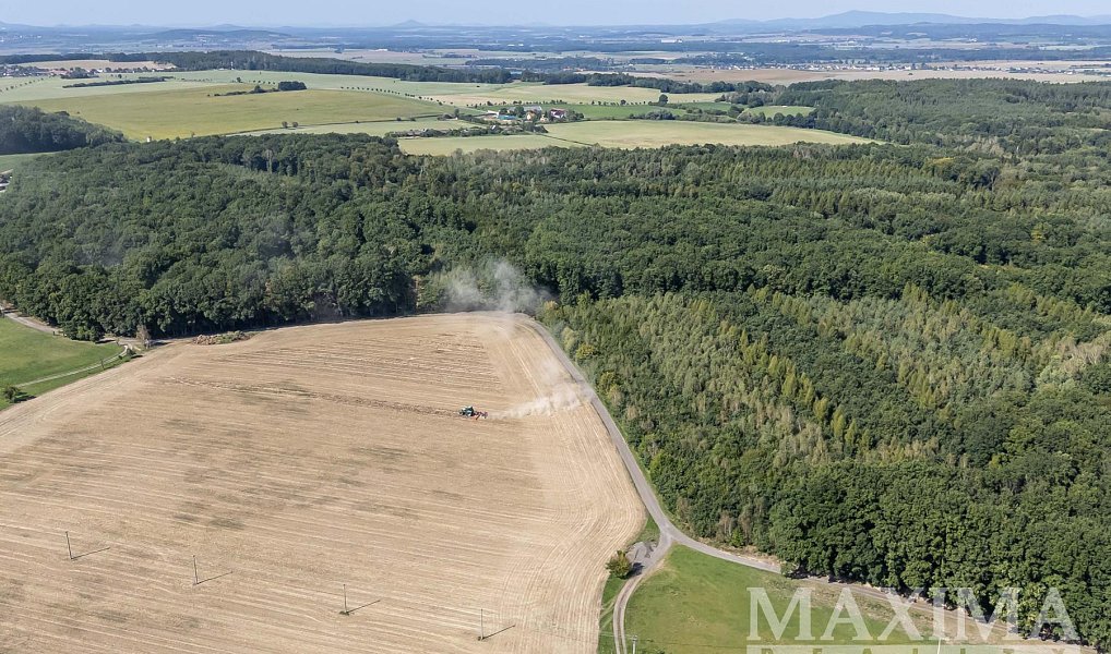 Prodej pole 3 636 m², Lhotky – náhled fotky 9