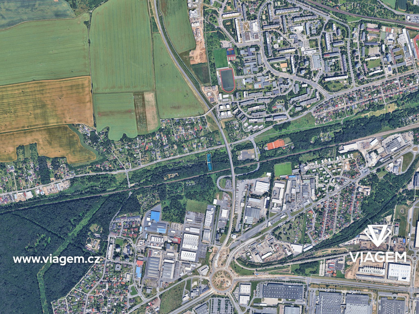 Prodej lesa 2 919 m² – fotografie 3