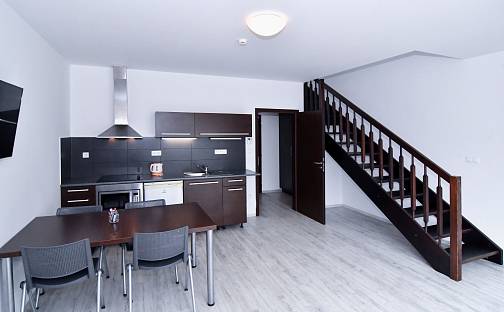 Pronájem bytu 3+kk 141 m², Bratislavská, Brno - Zábrdovice