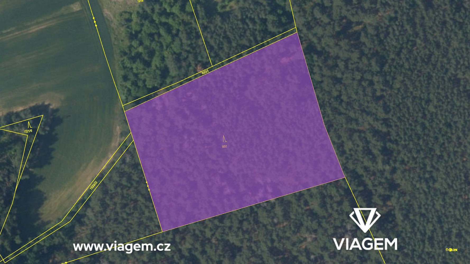 Prodej lesa 2 102 m² – fotografie 4