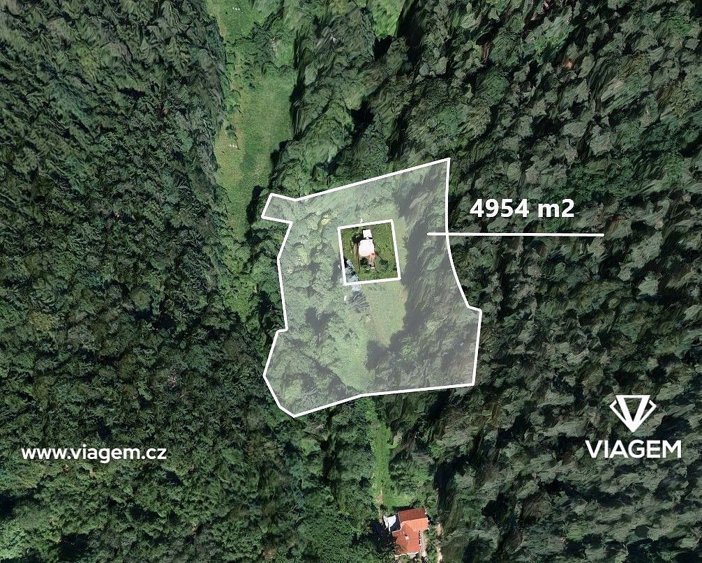 Prodej lesa 4 954 m² – fotografie 4