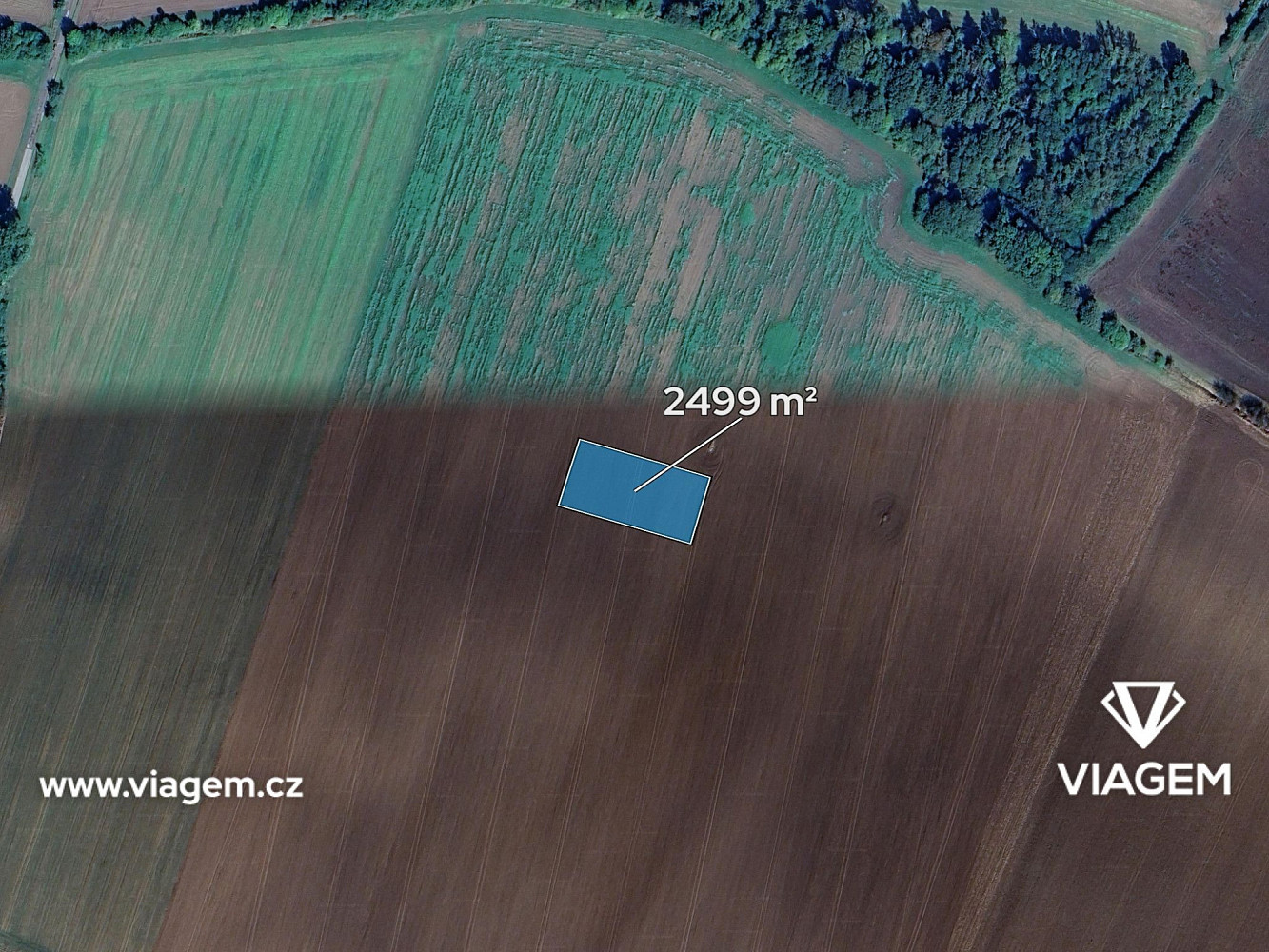 Prodej pole 1 249 m² - View 2