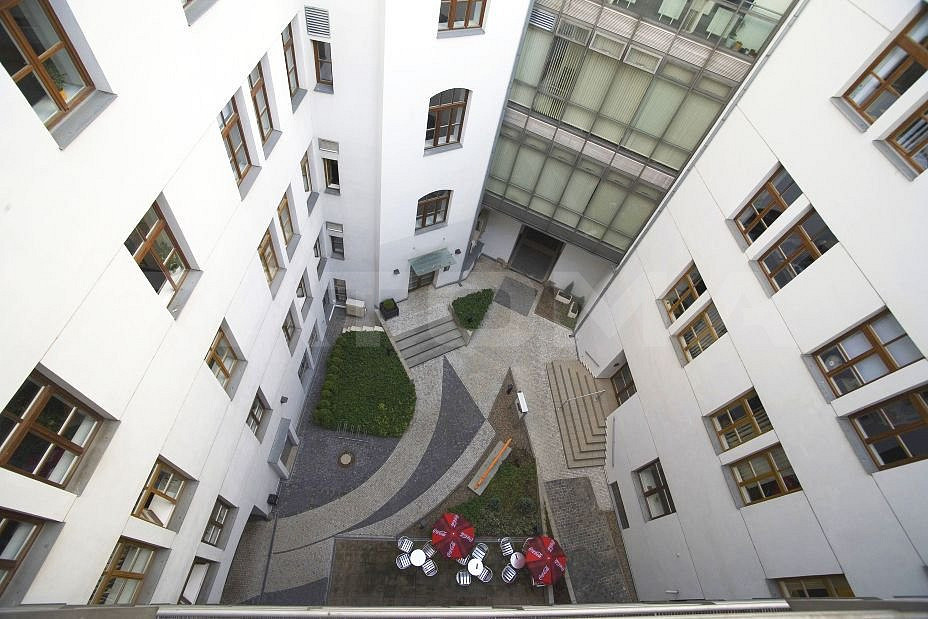 Fotka 10 z 13