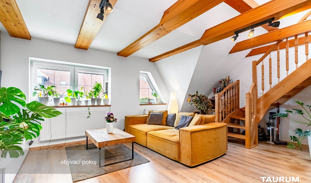 Prodej bytu 2+1 116 m², Plzeň – náhled fotky 2