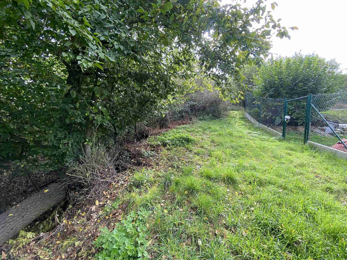 Prodej pozemku 764 m² - Widok 3