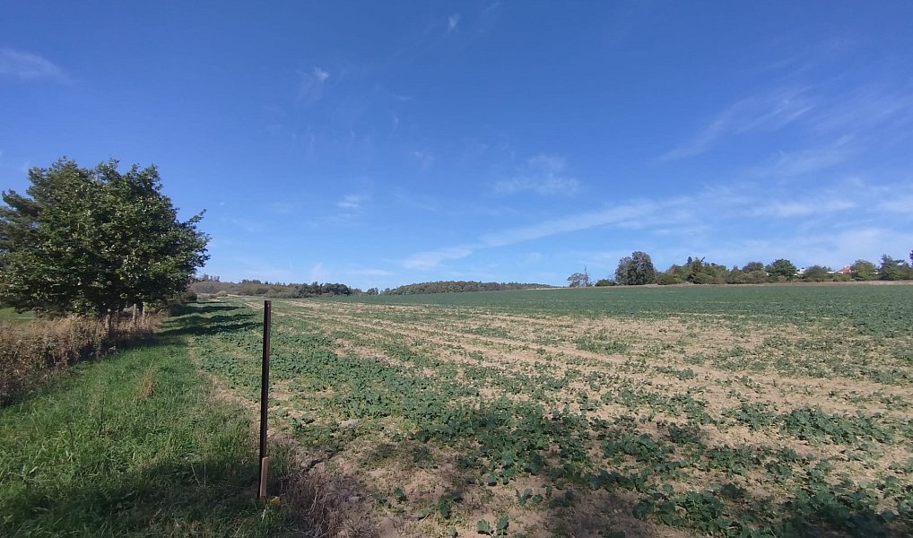 Prodej pole 56 184 m², Ježkovice – náhled fotky 12