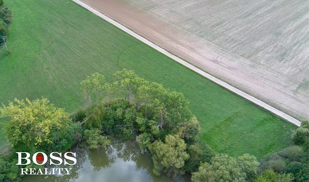 Prodej louky 10 232 m², Podmokly – náhled fotky 3
