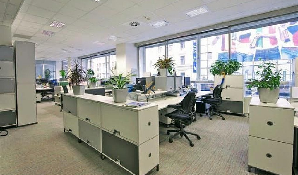 Pronájem kanceláře 218 m², Praha – náhled fotky 3