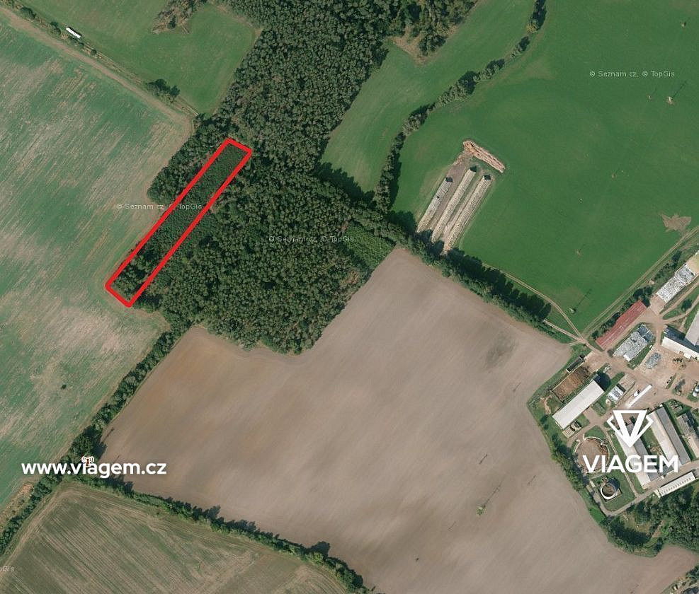 Prodej lesa 3 988 m²
