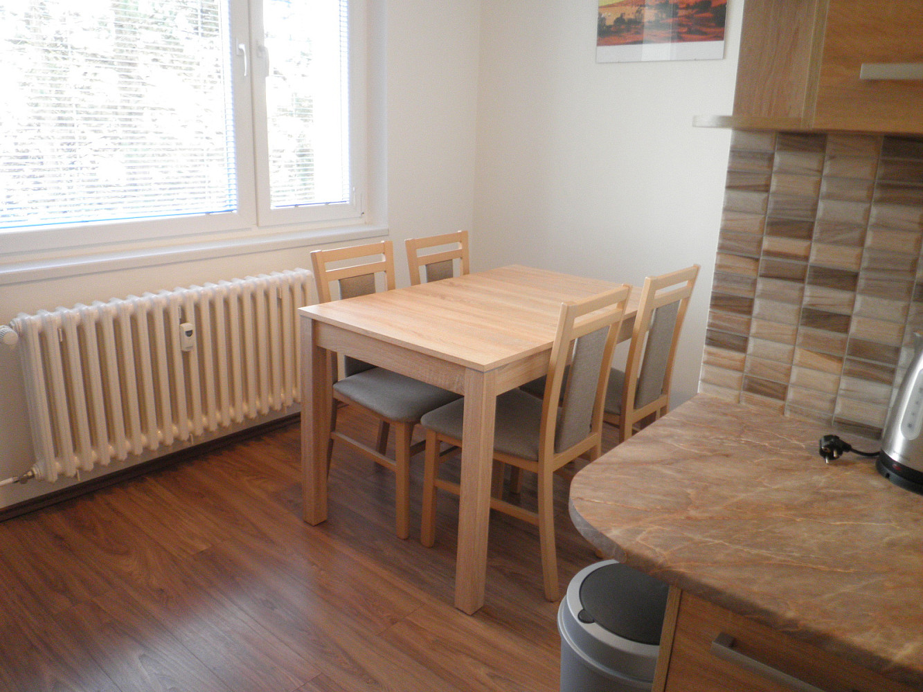 1+1 Apartment in Brno, Bystrc – pohled 4