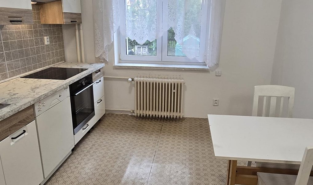 Pronájem domu 70 m² s pozemkem 335 m², Plzeň – náhled fotky 8