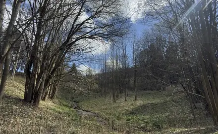Prodej louky 9 974 m², Výprachtice, okres Ústí nad Orlicí