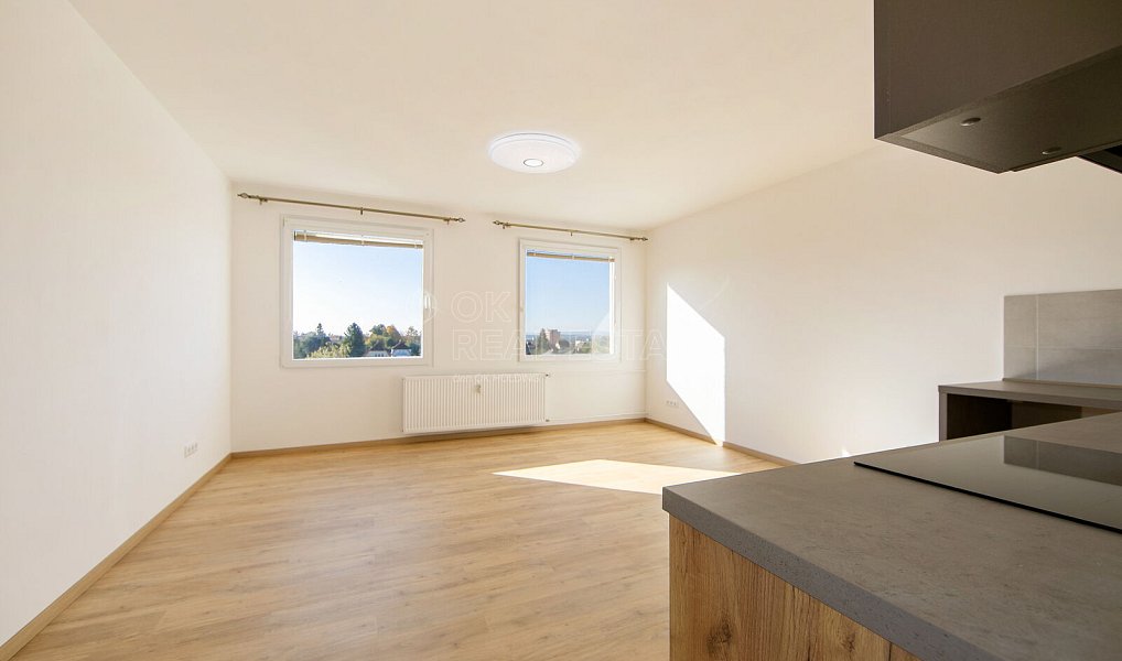Pronájem bytu 1+kk 31 m², Planá – náhled fotky 3