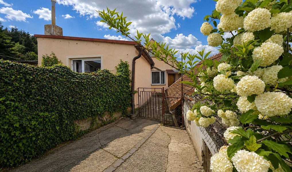 Prodej domu 183 m² s pozemkem 1 100 m², Dačice – náhled fotky 28