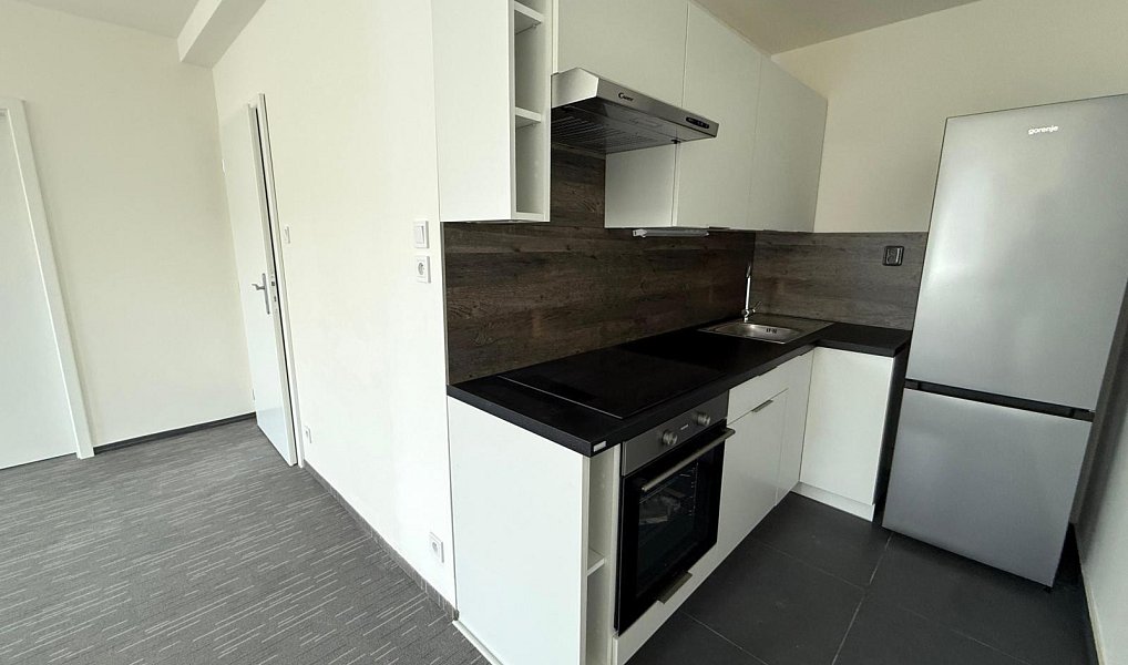 Pronájem bytu 2+kk 50 m², Chomutov – náhled fotky 2