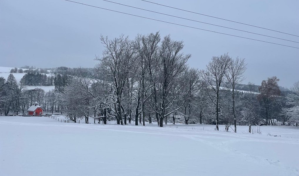 Prodej stavebního pozemku 2 391 m², Pulečný – náhled fotky 5