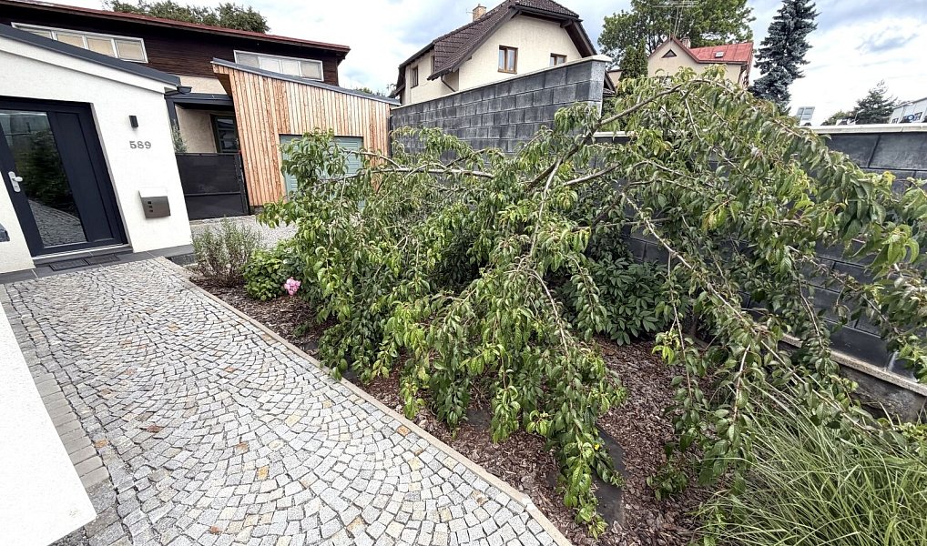 Pronájem bytu 2+kk 54 m², Nové Město na Moravě – náhled fotky 9