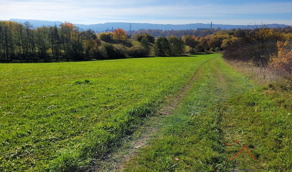 Prodej louky 52 559 m², Broumov – náhled fotky 3