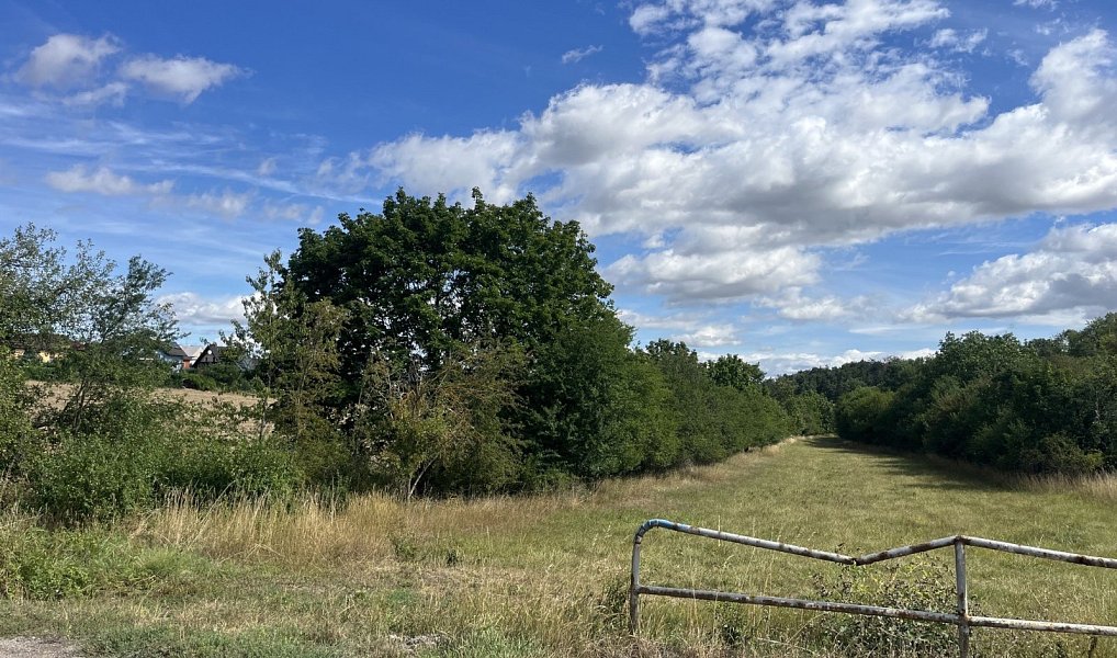 Prodej pozemku 17 300 m², Hrdlív – náhled fotky 6