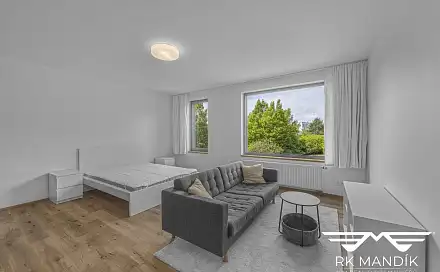Pronájem bytu 1+kk 45 m²