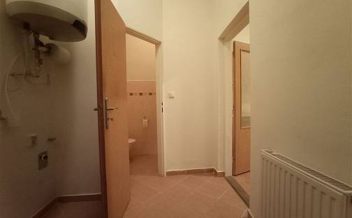 Pronájem bytu 1+kk 29 m², Brno - Husovice