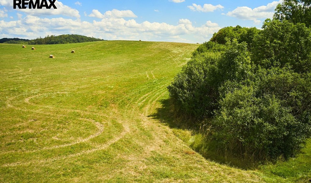 Prodej pole 46 475 m², Jeníkovice – náhled fotky 4