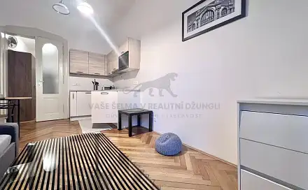 Pronájem bytu 1+kk 22 m², Elišky Krásnohorské, Praha 1 - Josefov