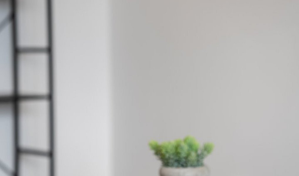 Prodej bytu 1+kk 24 m², Žacléř – náhled fotky 7