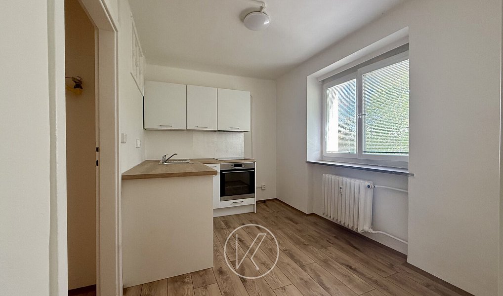 Pronájem bytu 1+1 28 m², Plzeň – náhled fotky 11