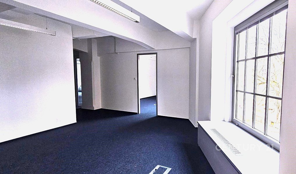 Pronájem kanceláře 650 m², Praha – náhled fotky 3