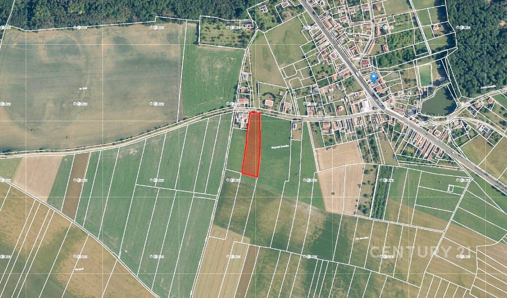 Prodej stavebního pozemku 5 553 m², Jizbice – náhled fotky 14