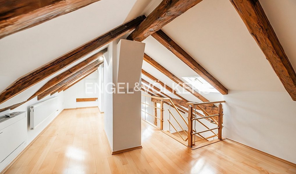Pronájem bytu 4+kk 221 m², Praha – náhled fotky 11