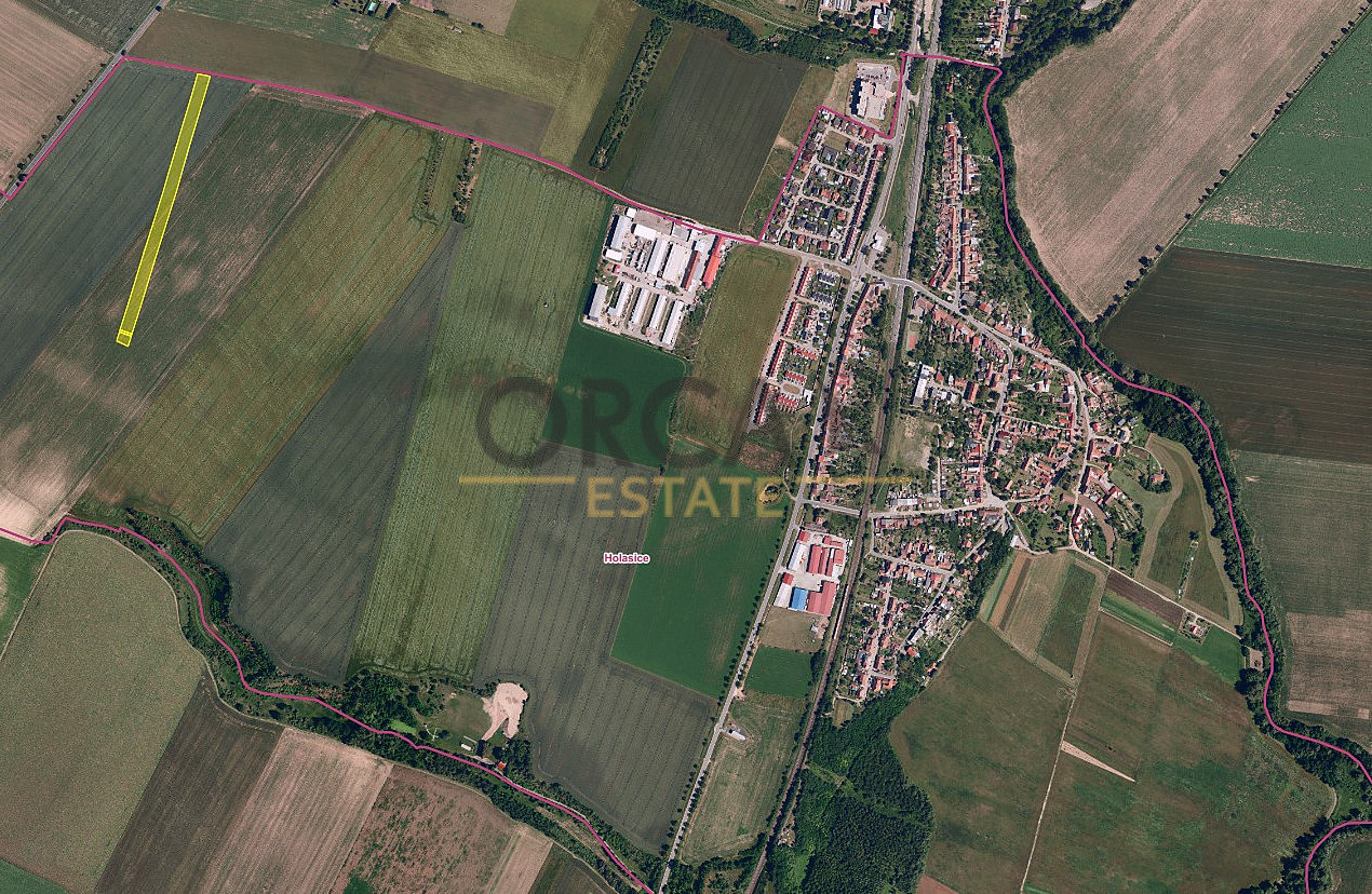 0,3 ha pozemků v k. ú. Holasice – pohled 2