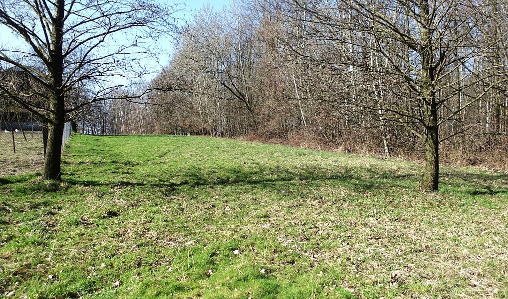 Prodej louky 6 013 m², Bohumín – fotka 1 z 15