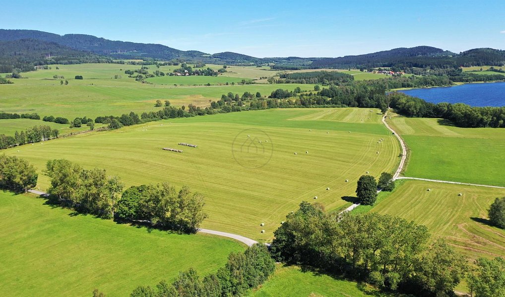 Prodej pole 92 549 m², Horní Planá – náhled fotky 3