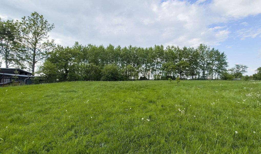 Prodej stavebního pozemku 966 m², Police – náhled fotky 5