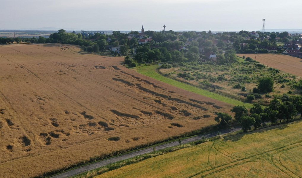 Prodej stavebního pozemku 4 605 m², Horní Slivno – náhled fotky 5
