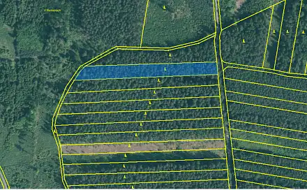 Prodej lesa 4 751 m², Bechyně - Hvožďany, okres Tábor