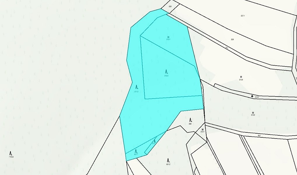 Prodej lesa 11 901 m², Drozdov – náhled fotky 3