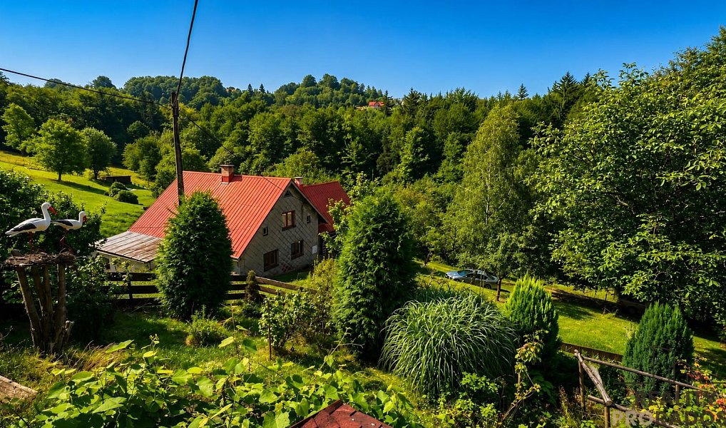 Prodej chaty/chalupy 90 m² s pozemkem 14 368 m², Bystřice – náhled fotky 6