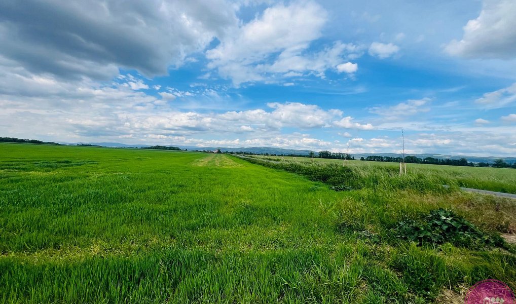 Prodej komerčního pozemku 29 280 m², Liboš – náhled fotky 3