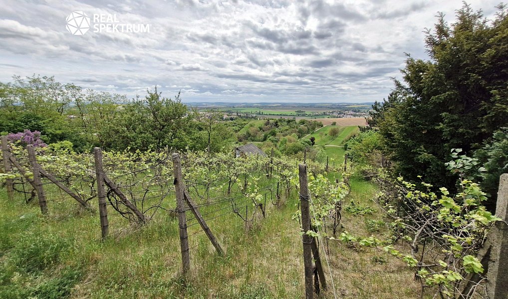 Prodej zahrady 3 069 m², Sivice – náhled fotky 7