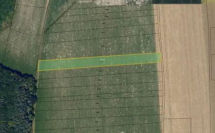 Prodej pole 4 002 m², Luže - Bělá, okres Chrudim