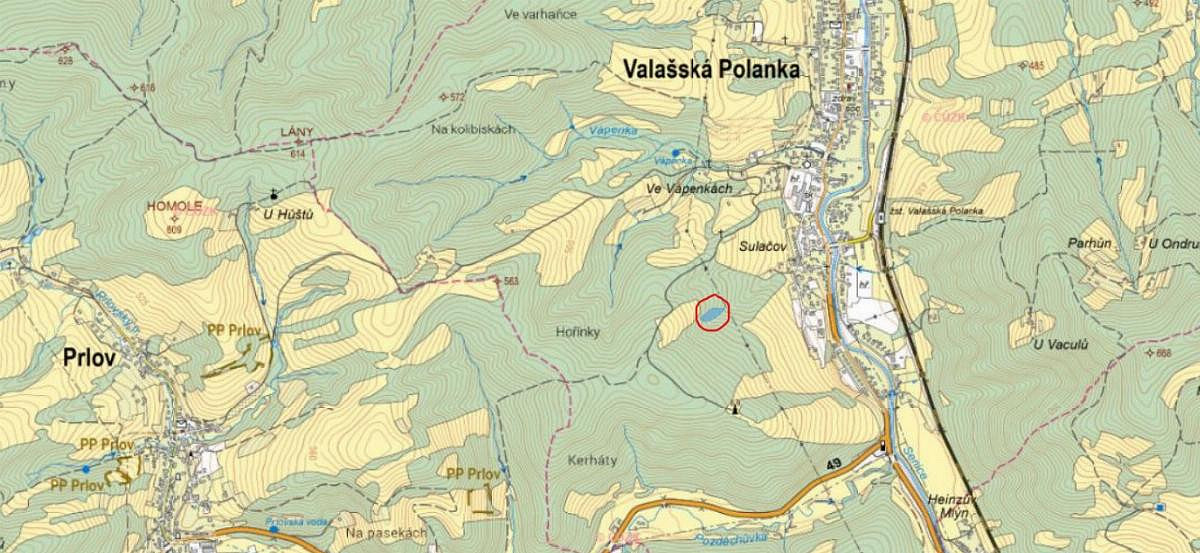 Prodej lesa 2 906 m² – pohled 3